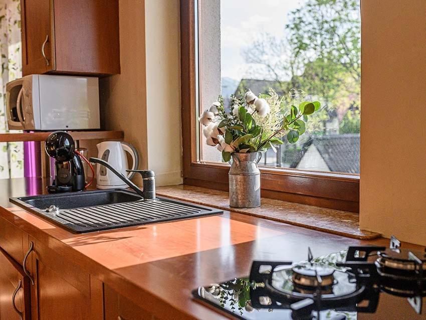 Visitzakopane - Apartament Rodzinny מראה חיצוני תמונה